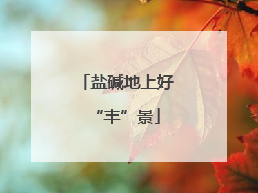 盐碱地上好“丰”景