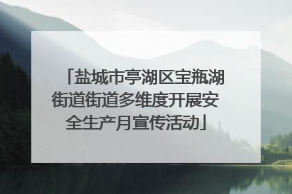 盐城市亭湖区宝瓶湖街道街道多维度开展安全生产月宣传活动