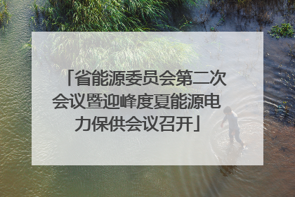 省能源委员会第二次会议暨迎峰度夏能源电力保供会议召开