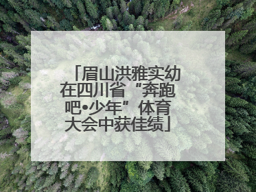 眉山洪雅实幼在四川省“奔跑吧•少年”体育大会中获佳绩