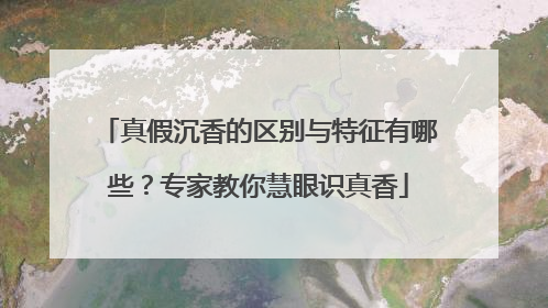 真假沉香的区别与特征有哪些？专家教你慧眼识真香
