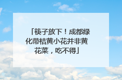 筷子放下！成都绿化带桔黄小花并非黄花菜，吃不得