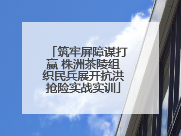 筑牢屏障谋打赢 株洲茶陵组织民兵展开抗洪抢险实战实训