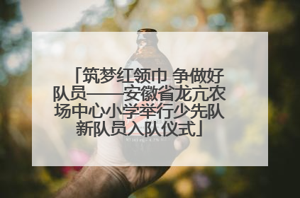 筑梦红领巾 争做好队员——安徽省龙亢农场中心小学举行少先队新队员入队仪式