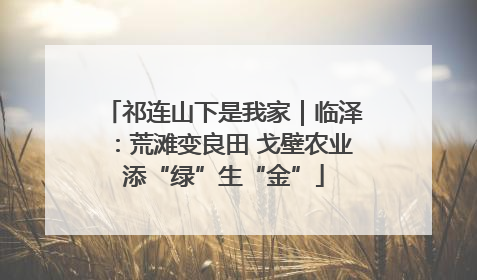 祁连山下是我家｜临泽：荒滩变良田 戈壁农业添“绿”生“金”