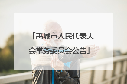 禹城市人民代表大会常务委员会公告