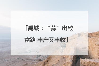 禹城：“蒜”出致富路 丰产又丰收