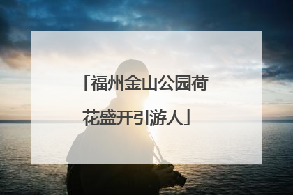 福州金山公园荷花盛开引游人