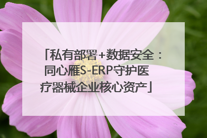 私有部署+数据安全：同心雁S-ERP守护医疗器械企业核心资产