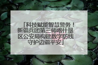 科技赋能智慧警务！新疆兵团第三师喀什垦区公安局构建数字防线守护边疆平安