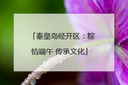 秦皇岛经开区：粽情端午 传承文化
