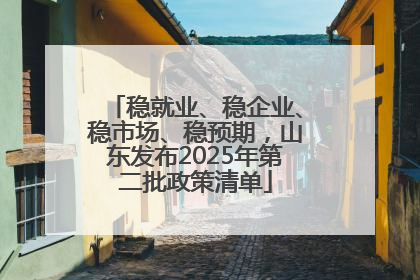 稳就业、稳企业、稳市场、稳预期，山东发布2025年第二批政策清单