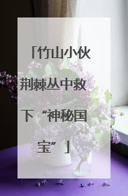 竹山小伙荆棘丛中救下“神秘国宝”