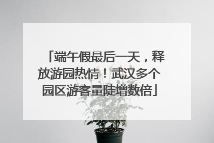 端午假最后一天，释放游园热情！武汉多个园区游客量陡增数倍