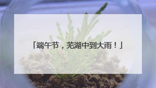 端午节，芜湖中到大雨！