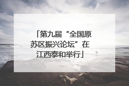 第九届“全国原苏区振兴论坛”在江西泰和举行