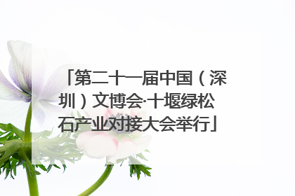 第二十一届中国（深圳）文博会·十堰绿松石产业对接大会举行
