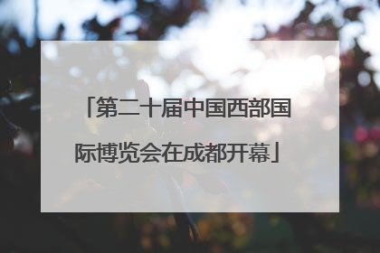 第二十届中国西部国际博览会在成都开幕