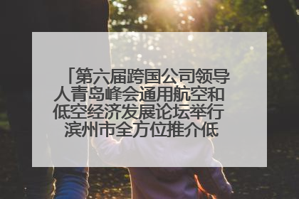 第六届跨国公司领导人青岛峰会通用航空和低空经济发展论坛举行 滨州市全方位推介低空经济发展优势