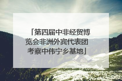 第四届中非经贸博览会非洲外宾代表团考察中伟宁乡基地
