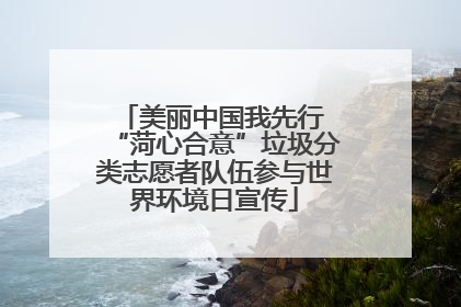 美丽中国我先行 “菏心合意”垃圾分类志愿者队伍参与世界环境日宣传