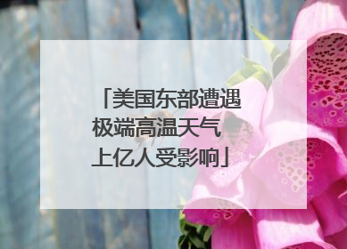 美国东部遭遇极端高温天气 上亿人受影响