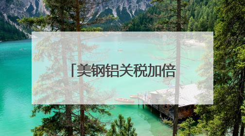 美钢铝关税加倍 多国表达反对