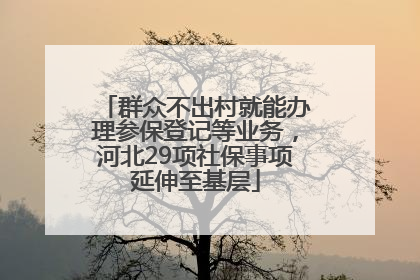 群众不出村就能办理参保登记等业务，河北29项社保事项延伸至基层