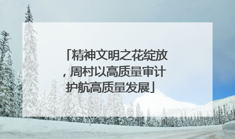 精神文明之花绽放，周村以高质量审计护航高质量发展