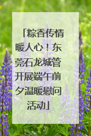 粽香传情暖人心！东莞石龙城管开展端午前夕温暖慰问活动
