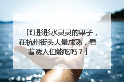 红彤彤水灵灵的果子，在杭州街头大量成熟，看着诱人但能吃吗？