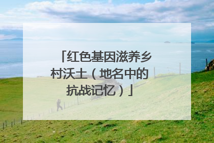 红色基因滋养乡村沃土（地名中的抗战记忆）