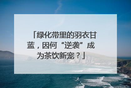 绿化带里的羽衣甘蓝，因何“逆袭”成为茶饮新宠？