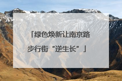 绿色焕新让南京路步行街“逆生长”