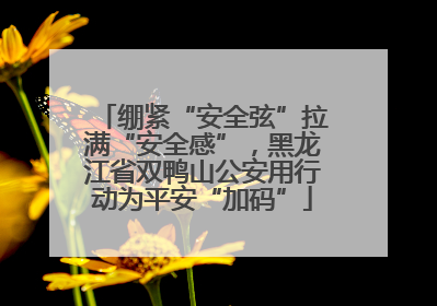 绷紧“安全弦”拉满“安全感”，黑龙江省双鸭山公安用行动为平安“加码”