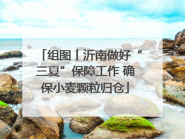 组图丨沂南做好“三夏”保障工作 确保小麦颗粒归仓