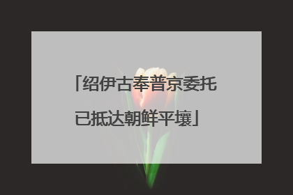 绍伊古奉普京委托已抵达朝鲜平壤