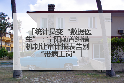 统计员变“数据医生”：宁阳前置纠错机制让审计报表告别“带病上岗”