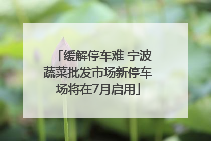 缓解停车难 宁波蔬菜批发市场新停车场将在7月启用