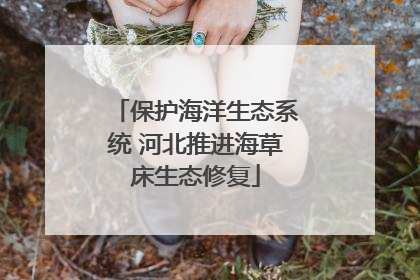 保护海洋生态系统 河北推进海草床生态修复