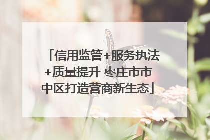信用监管+服务执法+质量提升 枣庄市市中区打造营商新生态