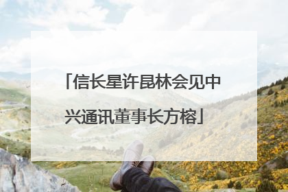 信长星许昆林会见中兴通讯董事长方榕