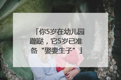 你5岁在幼儿园蹦跶，它5岁已准备“娶妻生子”