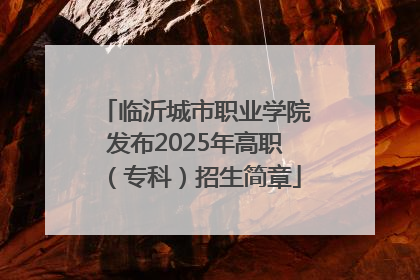 临沂城市职业学院发布2025年高职（专科）招生简章