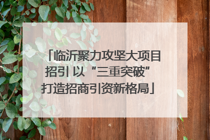 临沂聚力攻坚大项目招引 以“三重突破”打造招商引资新格局