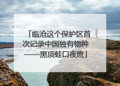 临沧这个保护区首次记录中国独有物种——黑顶蛙口夜鹰