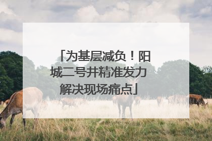 为基层减负！阳城二号井精准发力解决现场痛点