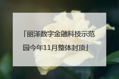 丽泽数字金融科技示范园今年11月整体封顶