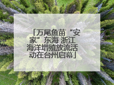 万尾鱼苗“安家”东海 浙江海洋增殖放流活动在台州启幕