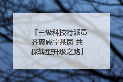 三级科技特派员齐聚咸宁茶园 共探转型升级之路